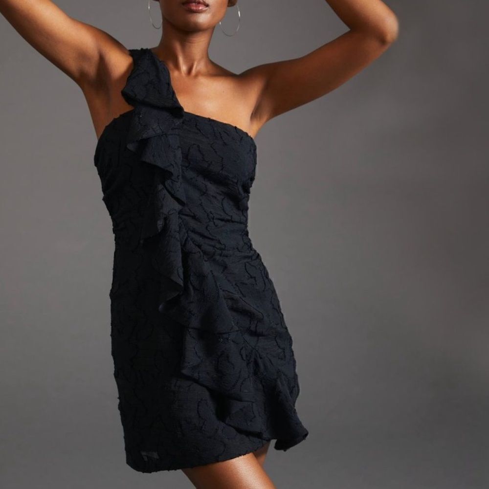 NWT Anthropologie Textured Ruffle Mini Dress